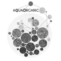 Свідоцтво торговельну марку № 298834 (заявка m201909773): aquaorganic; aqua organic