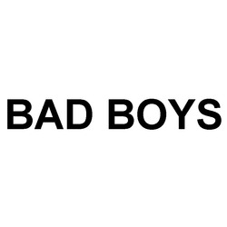 Заявка на торговельну марку № m201922789: bad boys
