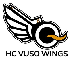 Заявка на торговельну марку № m202604891: q; нс; hc vuso wings