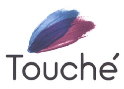 Свідоцтво торговельну марку № 315485 (заявка m201926837): touche