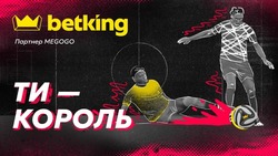 Заявка на торговельну марку № m202515834: ти - король; партнер megogo; betking