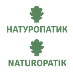 Свідоцтво торговельну марку № 337395 (заявка m202119474): naturopatik; натуропатик