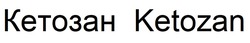 Заявка на торговельну марку № m202601387: ketozan; кетозан