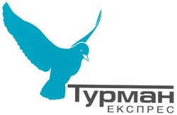 Свідоцтво торговельну марку № 81106 (заявка m200516286): турман; typmah; гурман; експрес