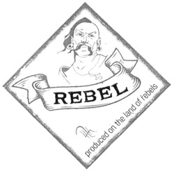 Заявка на торговельну марку № m202012396: product on th land of rebels
