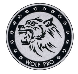 Свідоцтво торговельну марку № 337194 (заявка m202122532): wolf pro