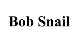 Свідоцтво торговельну марку № 324132 (заявка m202020262): bob snail