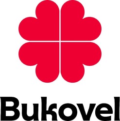 Заявка на торговельну марку № m202510300: bukovel