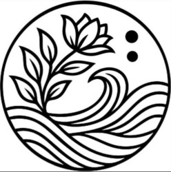 Заявка на торговельну марку № m202507997