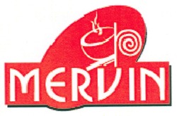 Заявка на торговельну марку № m201007016: mervin; mєrvin