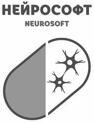 Заявка на торговельну марку № m202023610: neurosoft; нейрософт