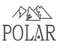 Свідоцтво торговельну марку № 313257 (заявка m201927130): polar