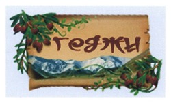 Заявка на торговельну марку № m201410209: геджи