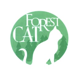 Свідоцтво торговельну марку № 260407 (заявка m201716281): forest cat; сат