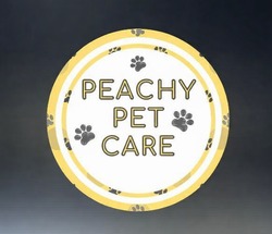 Заявка на торговельну марку № m202603291