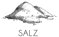 Заявка на торговельну марку № m202402991: salz