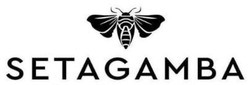 Заявка на торговельну марку № m202512394: setagamba