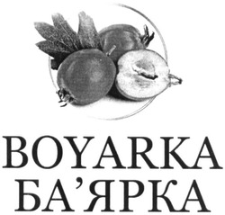 Свідоцтво торговельну марку № 343222 (заявка m202020287): boyarka; ба'ярка; баярка