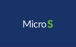 Заявка на торговельну марку № m202303026: micro s; micros