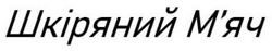 Заявка на торговельну марку № m202517291: мяч; шкіряний м'яч