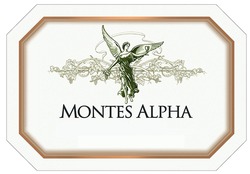 Свідоцтво торговельну марку № 319761 (заявка m202012666): montes alpha