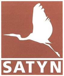 Свідоцтво торговельну марку № 148707 (заявка m201015893): satyn