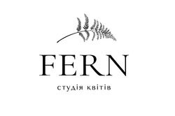 Заявка на торговельну марку № m202411105: студія квітів; fern