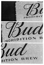 Заявка на торговельну марку № m201708873: bud; prohibition brew