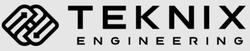 Заявка на торговельну марку № m202209835: teknix engineering