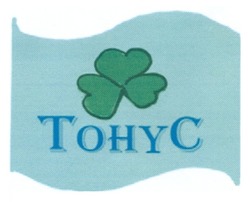 Свідоцтво торговельну марку № 189101 (заявка m201210111): тонус; tohyc