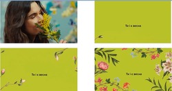 Заявка на торговельну марку № m202604093