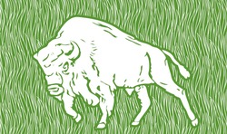 Заявка на торговельну марку № m202414575