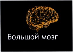 Свідоцтво торговельну марку № 197094 (заявка m201402927): большой мозг