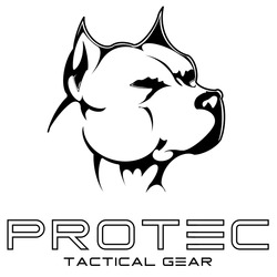 Заявка на торговельну марку № m202412245: protec tactical gear