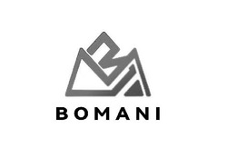Заявка на торговельну марку № m202312865: bomani