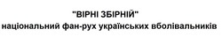 Заявка на торговельну марку № m202022522: вірні збірній національний фан-рух українських вболівальників