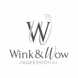 Заявка на торговельну марку № m202415993: ww; wink&wow professional