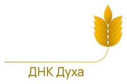 Заявка на торговельну марку № m202524479: днк духа