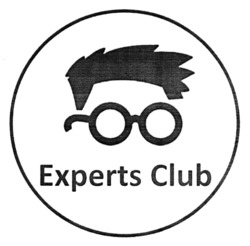 Заявка на торговельну марку № m202413388: experts club