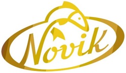 Свідоцтво торговельну марку № 293309 (заявка m201911686): novik; nouik