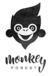 Свідоцтво торговельну марку № 305141 (заявка m201922182): monkey forest