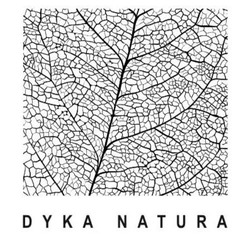 Заявка на торговельну марку № m202509626: dyka natura
