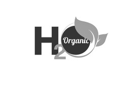 Свідоцтво торговельну марку № 337013 (заявка m202106426): h2o organic; ho; н2о; но