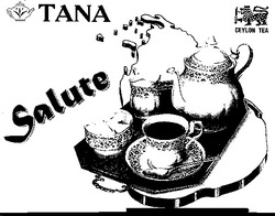 Свідоцтво торговельну марку № 11911 (заявка 97082527): salute; tana