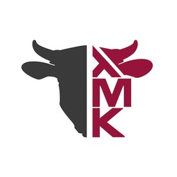 Заявка на торговельну марку № m202524179