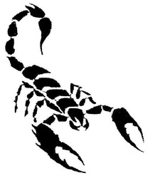 Заявка на торговельну марку № m200816077