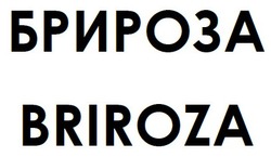 Свідоцтво торговельну марку № 275707 (заявка m201804602): брироза; briroza