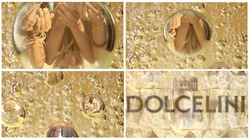 Заявка на торговельну марку № m202507402: dolcelini