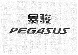Заявка на торговельну марку № m200512409: pegasus
