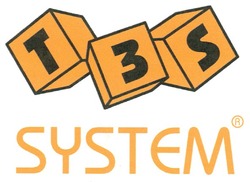 Свідоцтво торговельну марку № 148569 (заявка m201007384): t3s system; т3s
